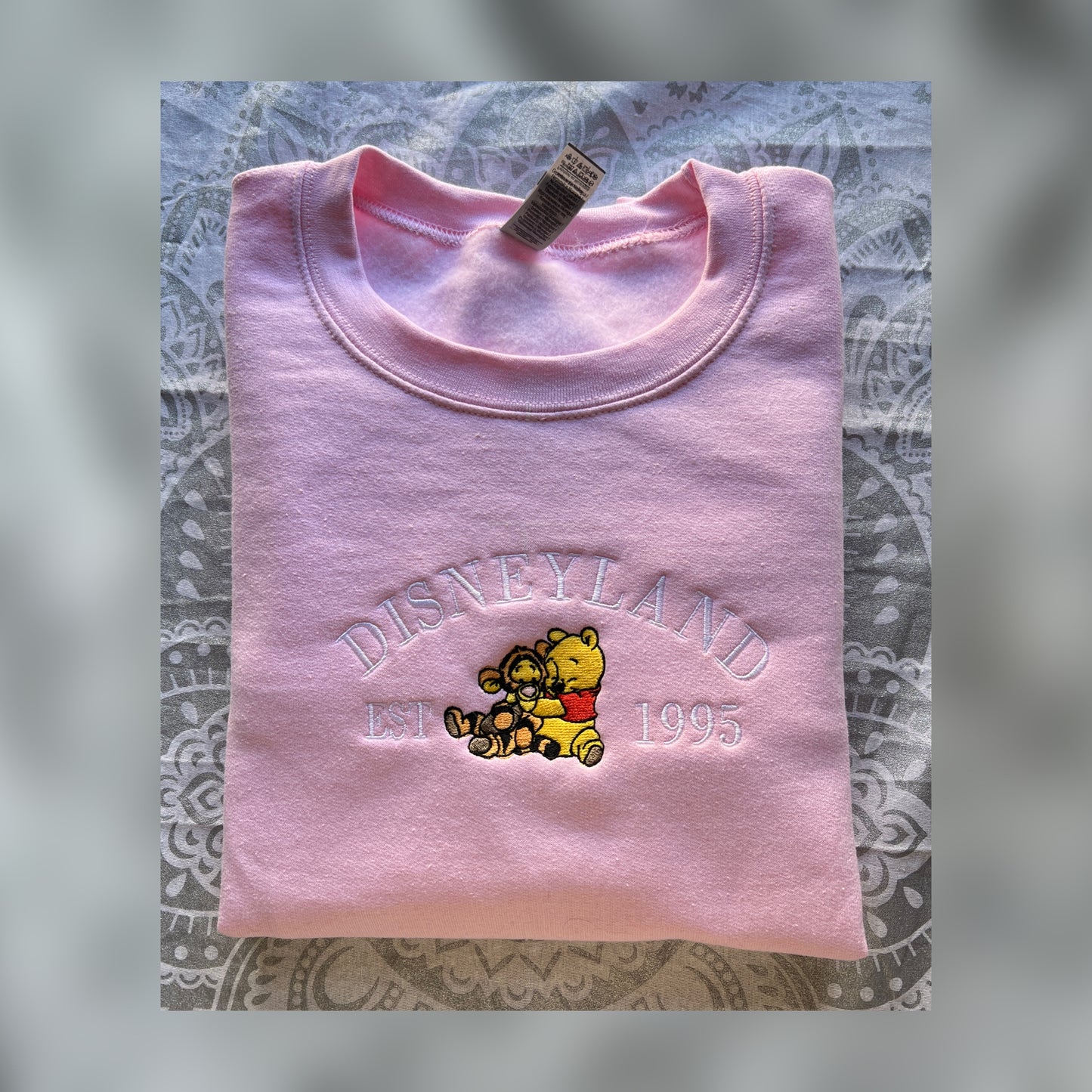 Dsnylnd 1995